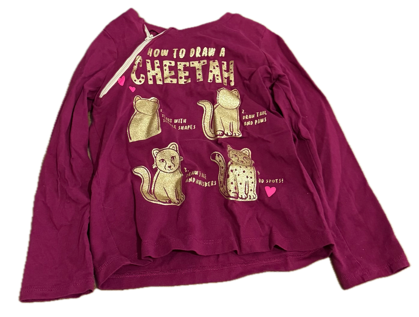 GENTLY USED RIGHT ZIPPER How to Draw a Cheetah