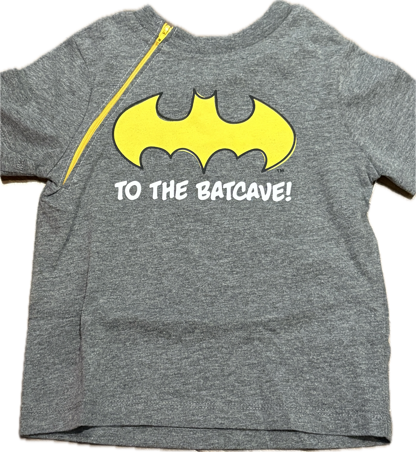 RIGHT ZIPPER To The Batcave!