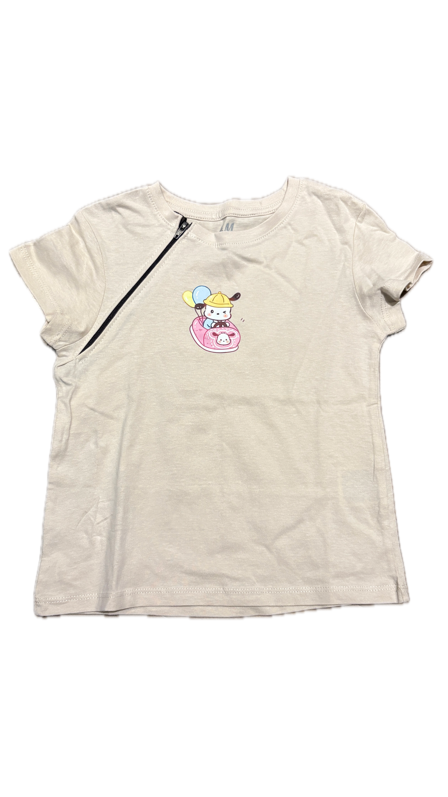RIGHT ZIPPER Pochacco in Car