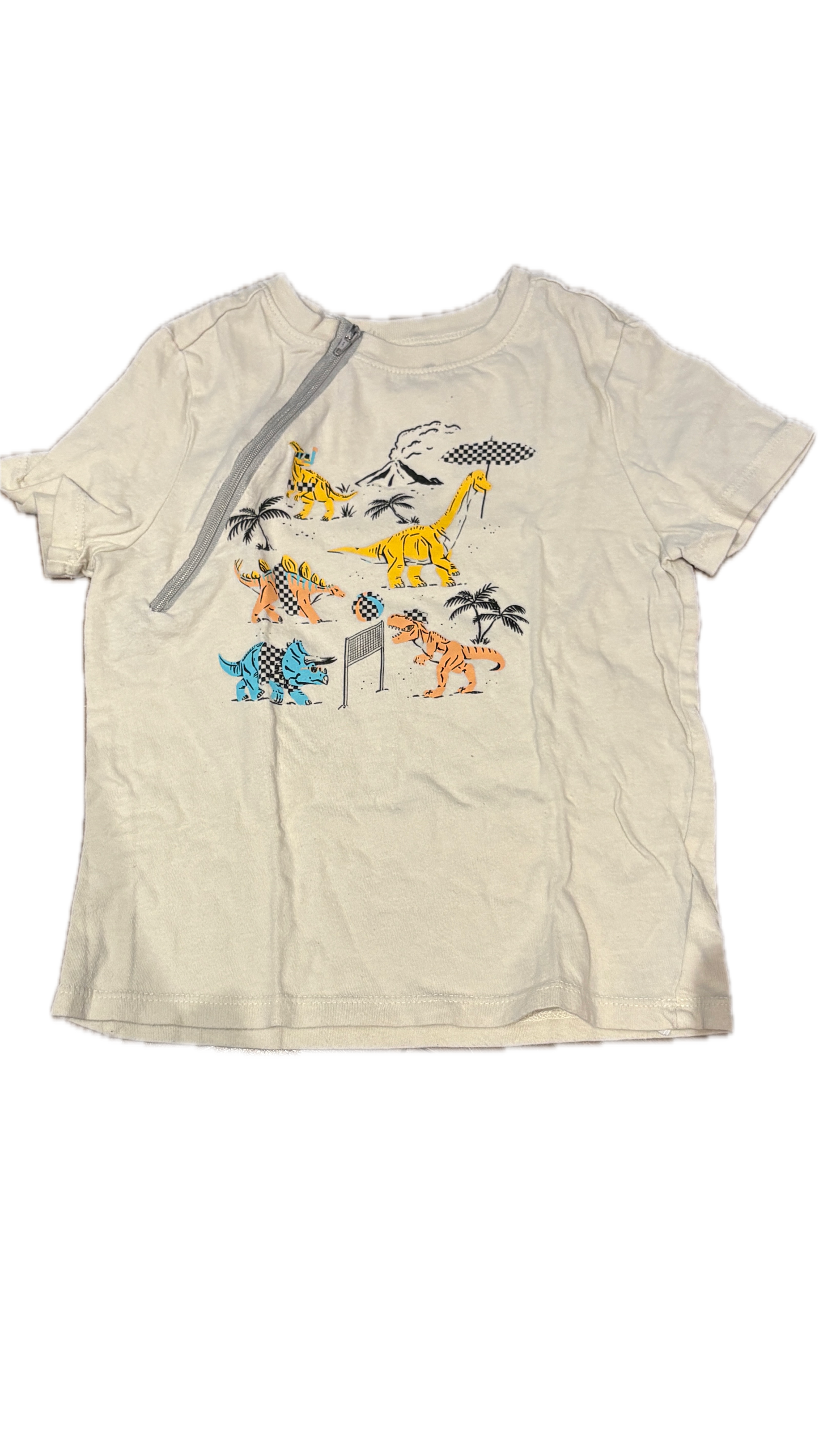 GENTLY USED Dinosaurs